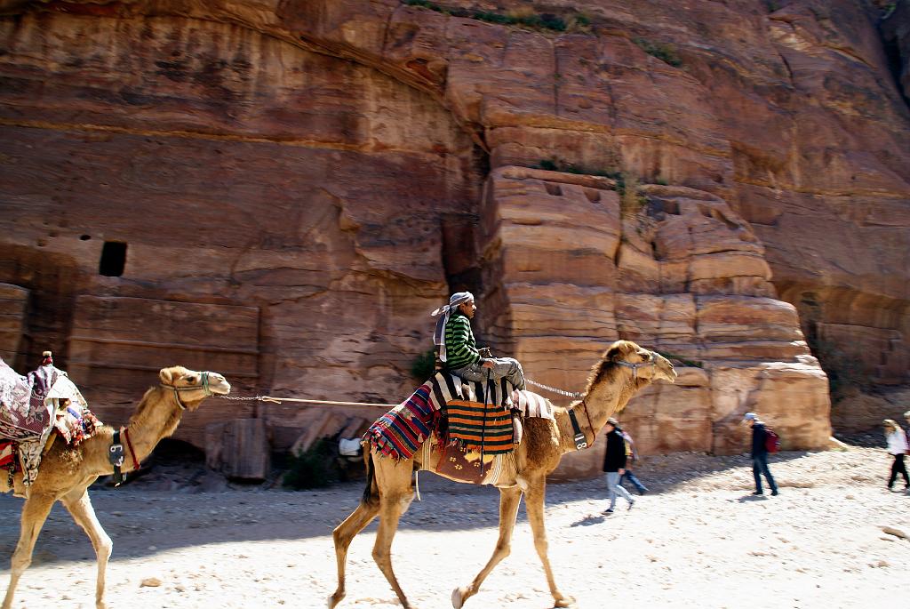 87 Cammelliere a Petra.JPG